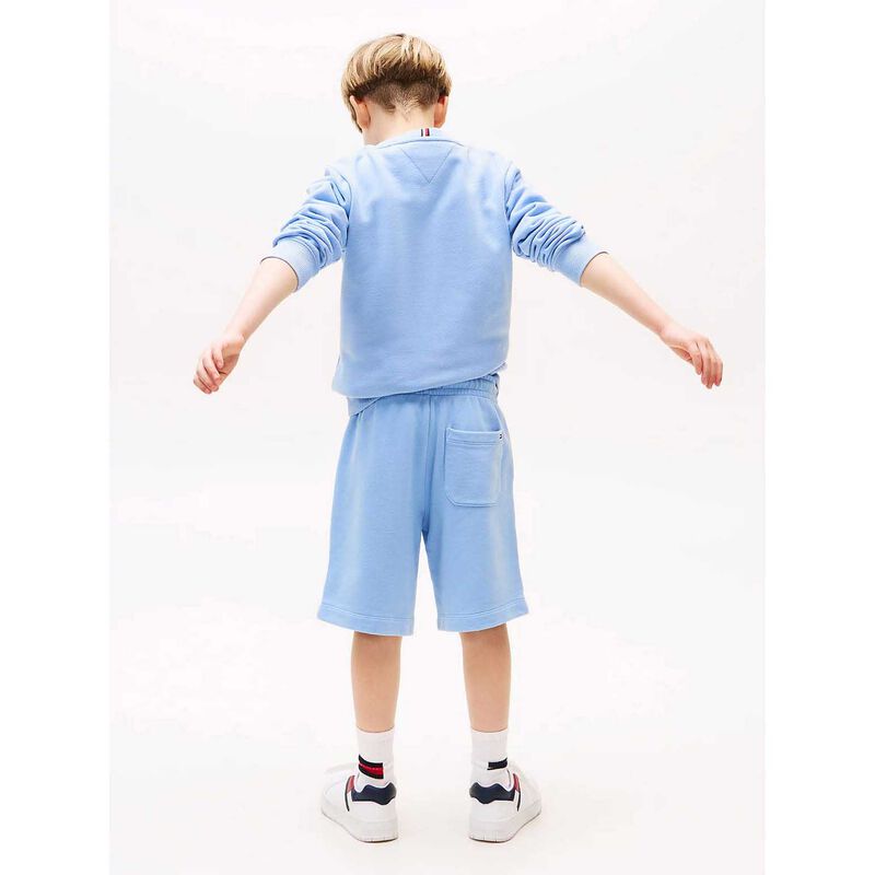 Tommy Hilfiger Tonal Flag Embroidery Sweat Short 3-7Y image number 2